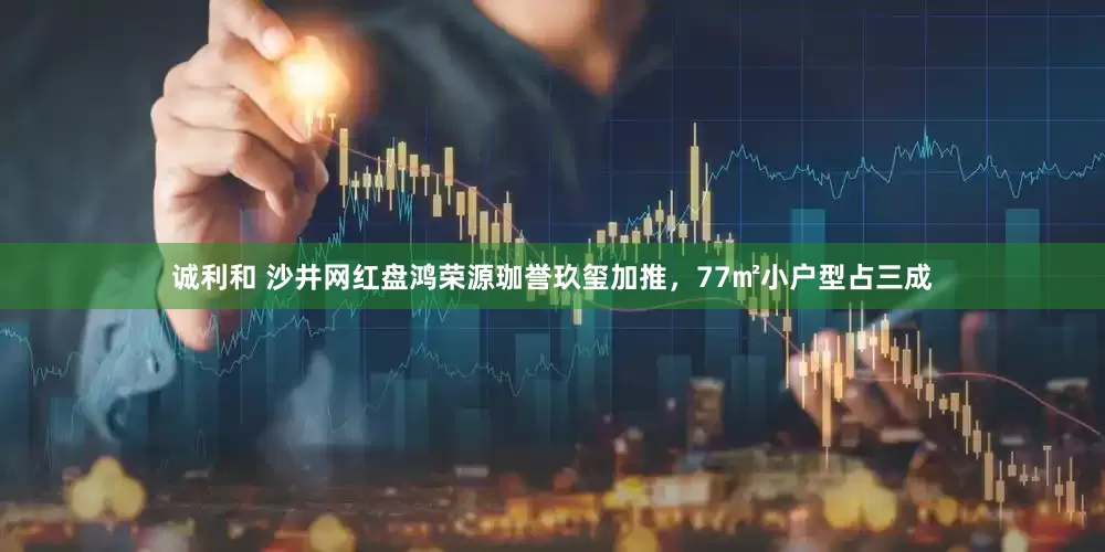 诚利和 沙井网红盘鸿荣源珈誉玖玺加推，77㎡小户型占三成