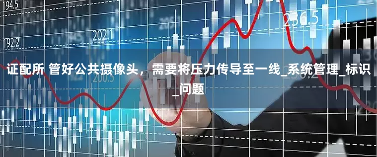 证配所 管好公共摄像头，需要将压力传导至一线_系统管理_标识_问题