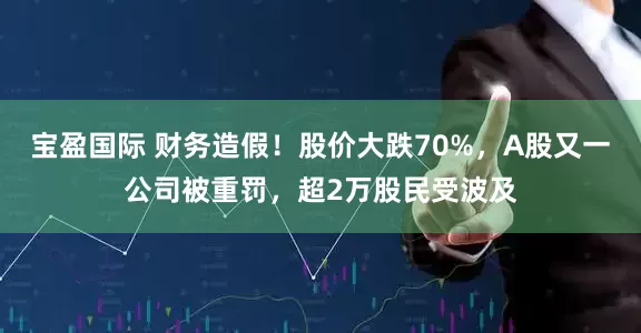 宝盈国际 财务造假!股价大跌70%,A股又一公司被重罚,超2万股民受波及